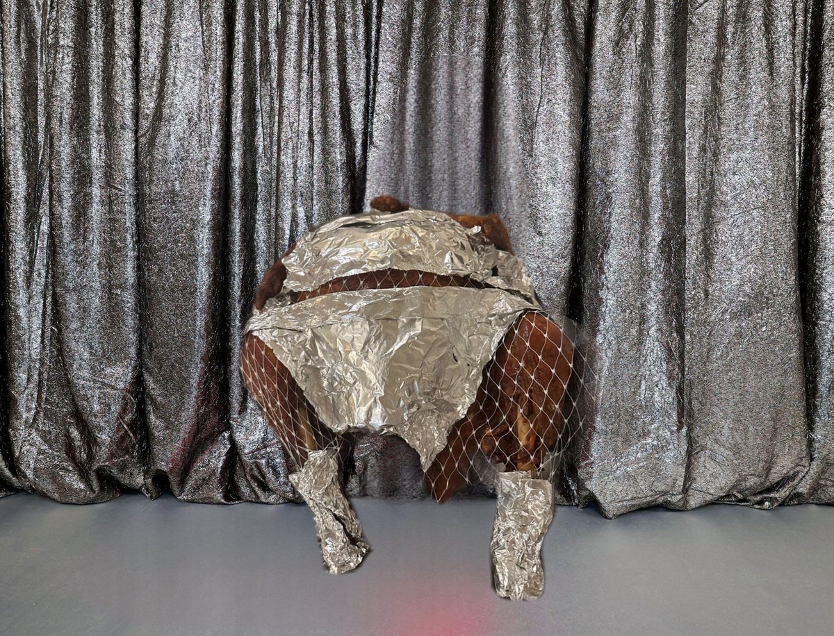 the renaissance thanksgiving turkey attends beyoncé’s renaissance film premiere