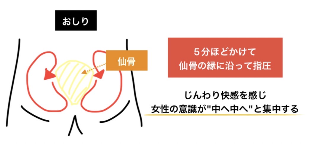 【悪用厳禁｜中〇き体質にさせる脅威の仙骨マッサージ】

※女性を中〇きしやすい体質に変貌させるから、全男性は絶対最後まで見て

①”これ気持ちよくなれる指圧なんだ”と伝える
②女性をうつ伏せにして仙骨を確認
③両手で仙骨の縁のくぼみを指圧
④仙骨の縁から肛門に向かって指圧

↓以下解説する