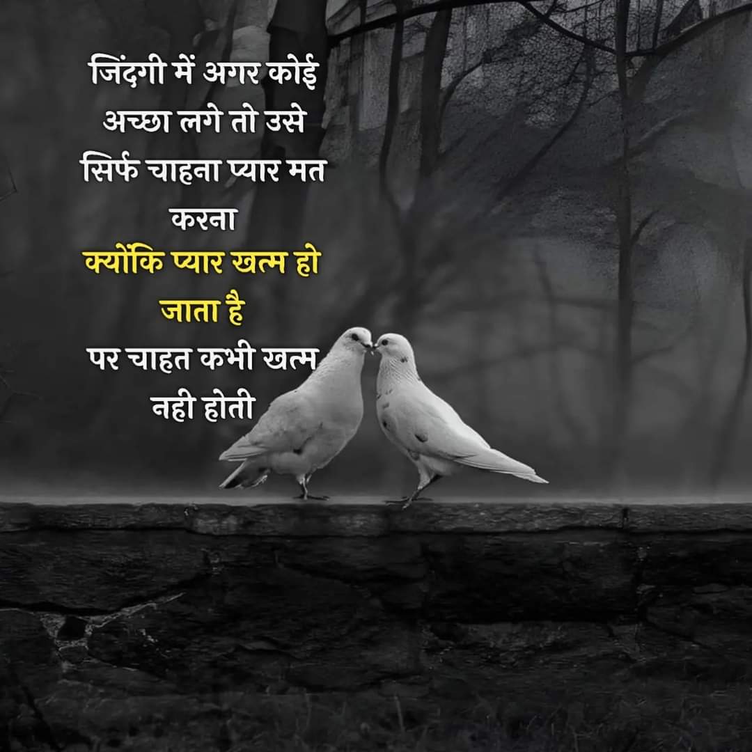 JAGDISH MENIYA (@j_v_meniya) on Twitter photo 