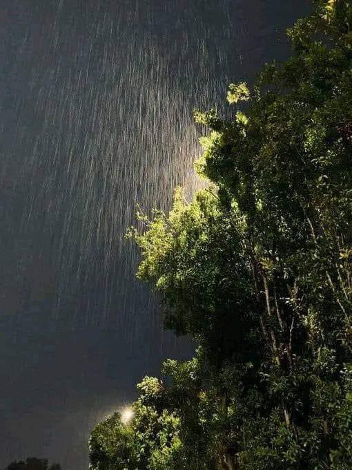 artindetails's tweet photo. rainy night https://t.co/myUNimqNqZ