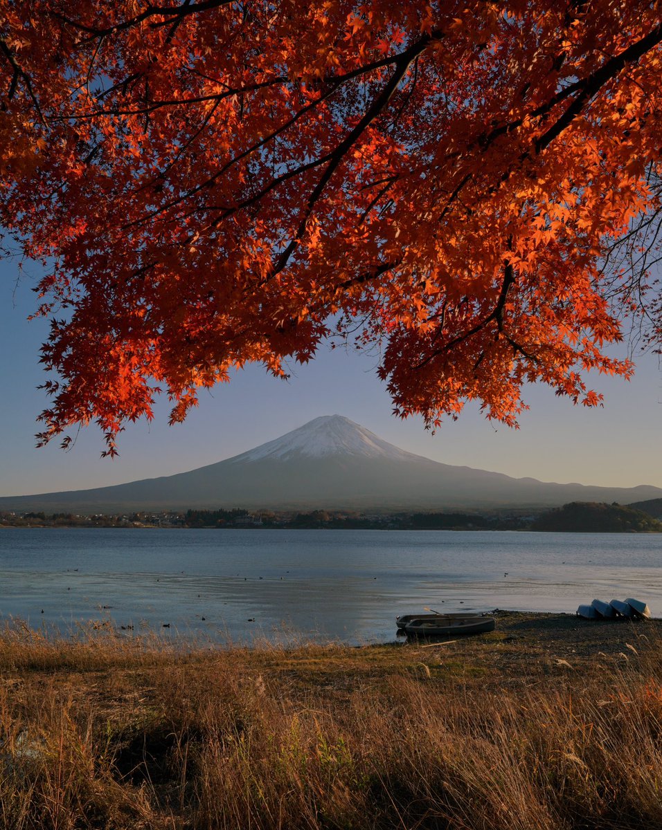 _mvltiple's tweet photo. 12 days, 5 cities. Wrapping up my Autumn mission in Japan! 🍂🇯🇵 https://t.co/oFU0RMU1Zr