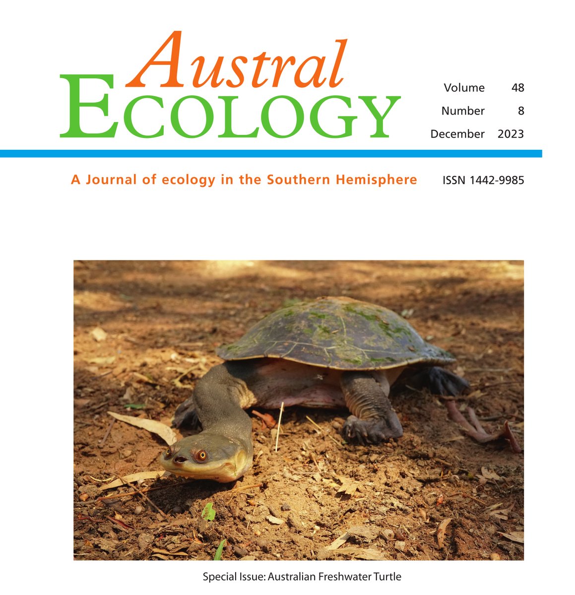 One of my broad-shelled #turtle photos made the cover of our special issue in @AustralEcology. Check it out for lots of great work on Australia's incredible freshwater #turtles. #WildOz #WildlifePhotography onlinelibrary.wiley.com/toc/14429993/2…