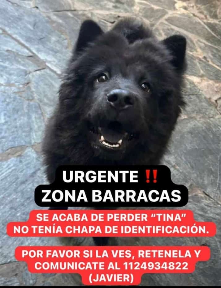 patripeyrou's tweet photo. Difundimos https://t.co/NHC5BwKfne