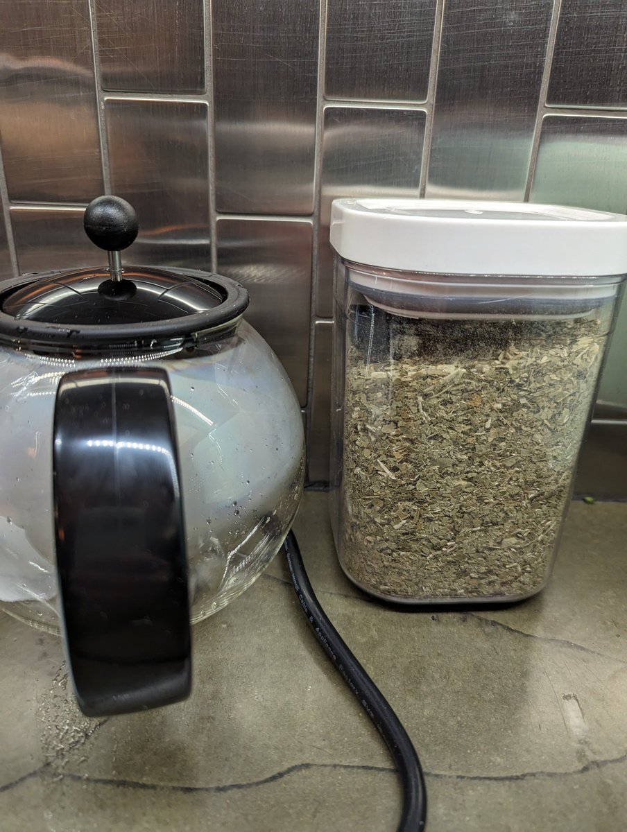 Mate phase begins tomorrow