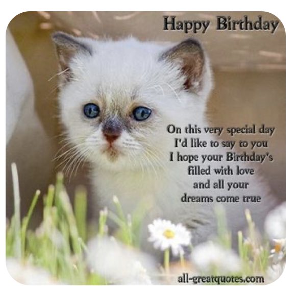 autumn. 🇮🇳🇨🇦🦚🍁🔱🏹⚔️🔥 tweet media