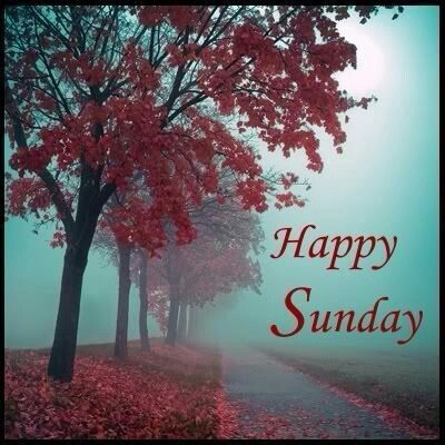 Good Morning 🌄 Have a Relaxing Sunday 🍂💒