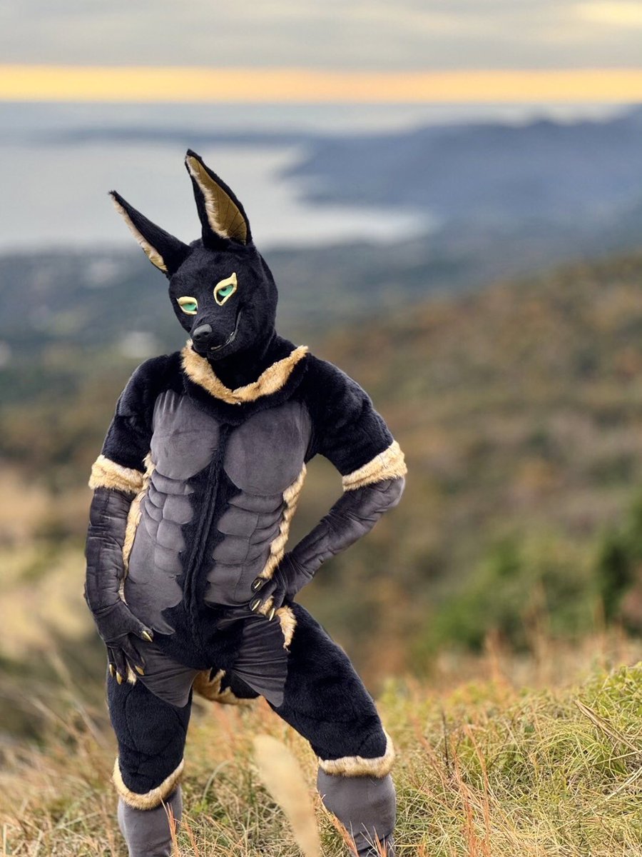 INPW 𓃢インプゥ🔜FurstClass✈️ tweet media