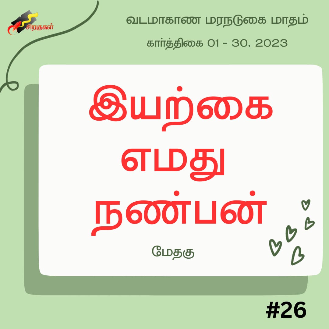 SirakukalA's tweet photo. Northern Province Tree planting month π±π - Day 2οΈβ£6οΈβ£
#NorthernPlantingMonth
#GreenChapte
#SustainableStory https://t.co/gKM5MlC7kl