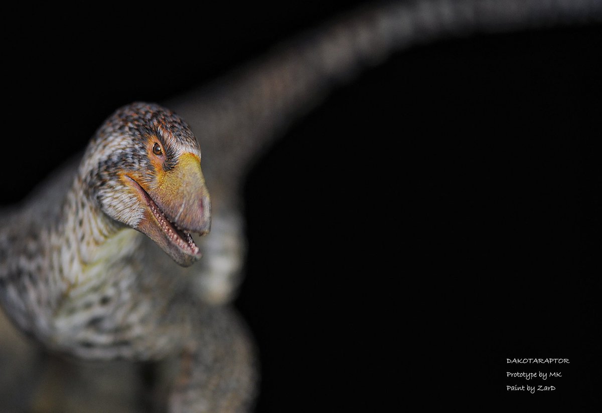 ダコタラプトル(Dakotaraptor）
原型：M K
涂装：Zard
撮影：Sunny

未塗装未組立キット　30000円
WF会場限定5体のキット販売予定

WF2024W販売
#wf2024w