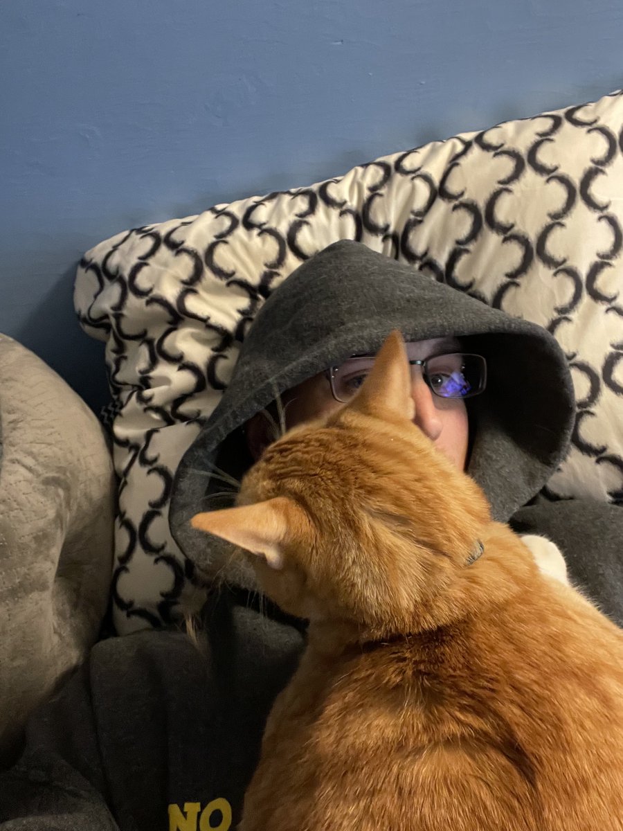 HootieMcOwlface's tweet image. How deep is your love? 🐈 
🍊 How big is your orange?

This is one of the many ways Jóla communicates. 📞 

#CatCommander