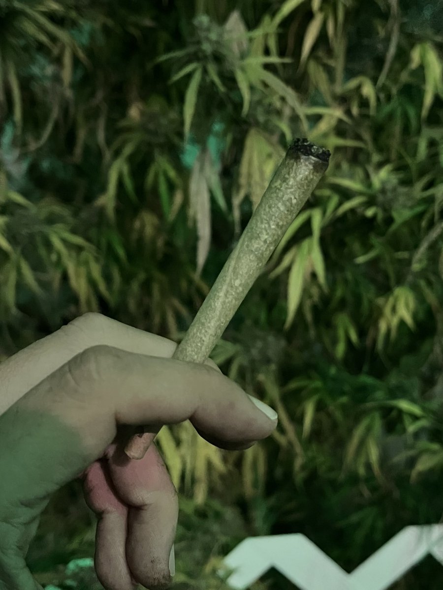 Mariguanillo's tweet image. El de las buenas noches… #BuenosHumos