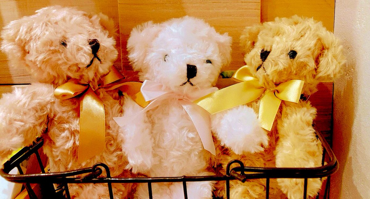 biosopra's tweet photo. こんにちは
#BIOSOPRA は元気に営業中です😊

急に真冬並みの寒さ🌨️
ふと もふもふが恋しくなります
今日は店頭にいるくまさん達をご紹介🧸
寒さを忘れてなでてしまいそうです

どうぞ素敵な1日をお過ごしください😊

#新橋 #汐留 #浜松町 #ギフト #オーガニック #日曜日営業 #ぬいぐるみ  #くま https://t.co/F3mZdvCcly