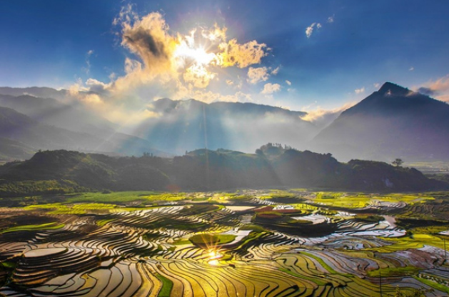 isyan tosun tweet media