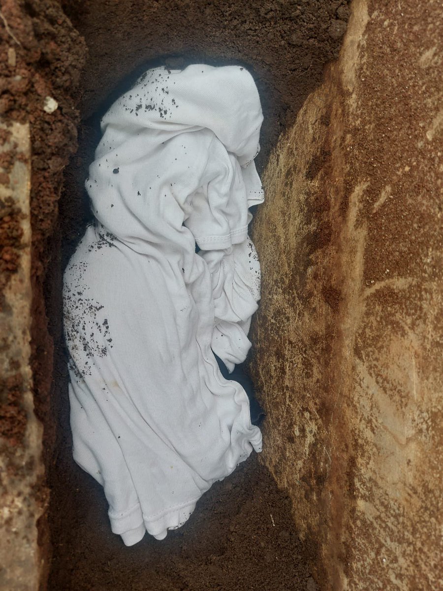 Milo🐥 Uno🦖 tweet media