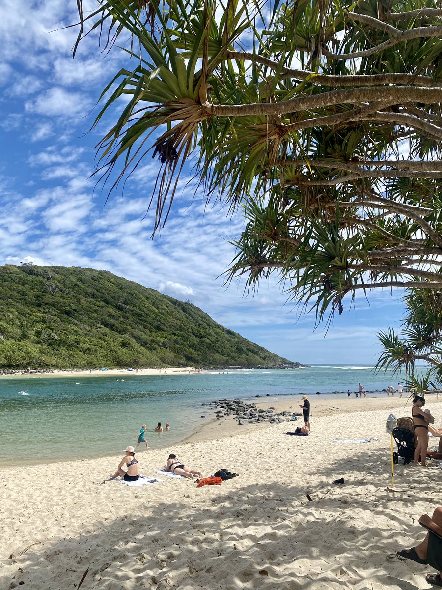 Jane O'Connell tweet media