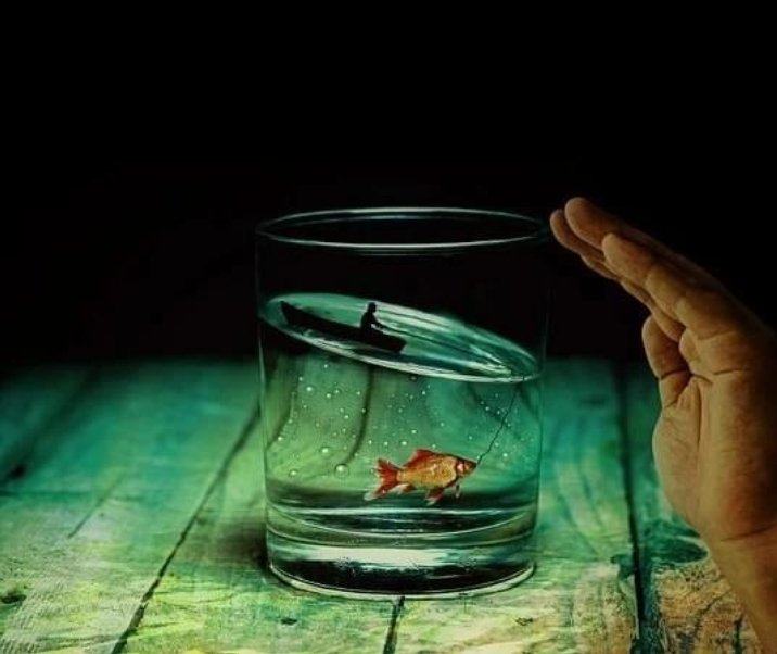 jgsalvuchi's tweet photo. EL RETO

Mientras vivas, VIVE y sigue APRENDIENDO a vivir... con FLUIDEZ.

Deja EN MANOS de la vida los ciclos naturales de las cosas, pues la LÓGICA es buena en los razonamientos, pero en la vida NO SIRVE para nada.

DISFRUTA LA VIDA, con...

https://t.co/BiIbxUJtVu https://t.co/POCH6lYN4W