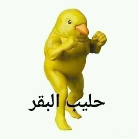 Bogula D. Ekoms tweet media