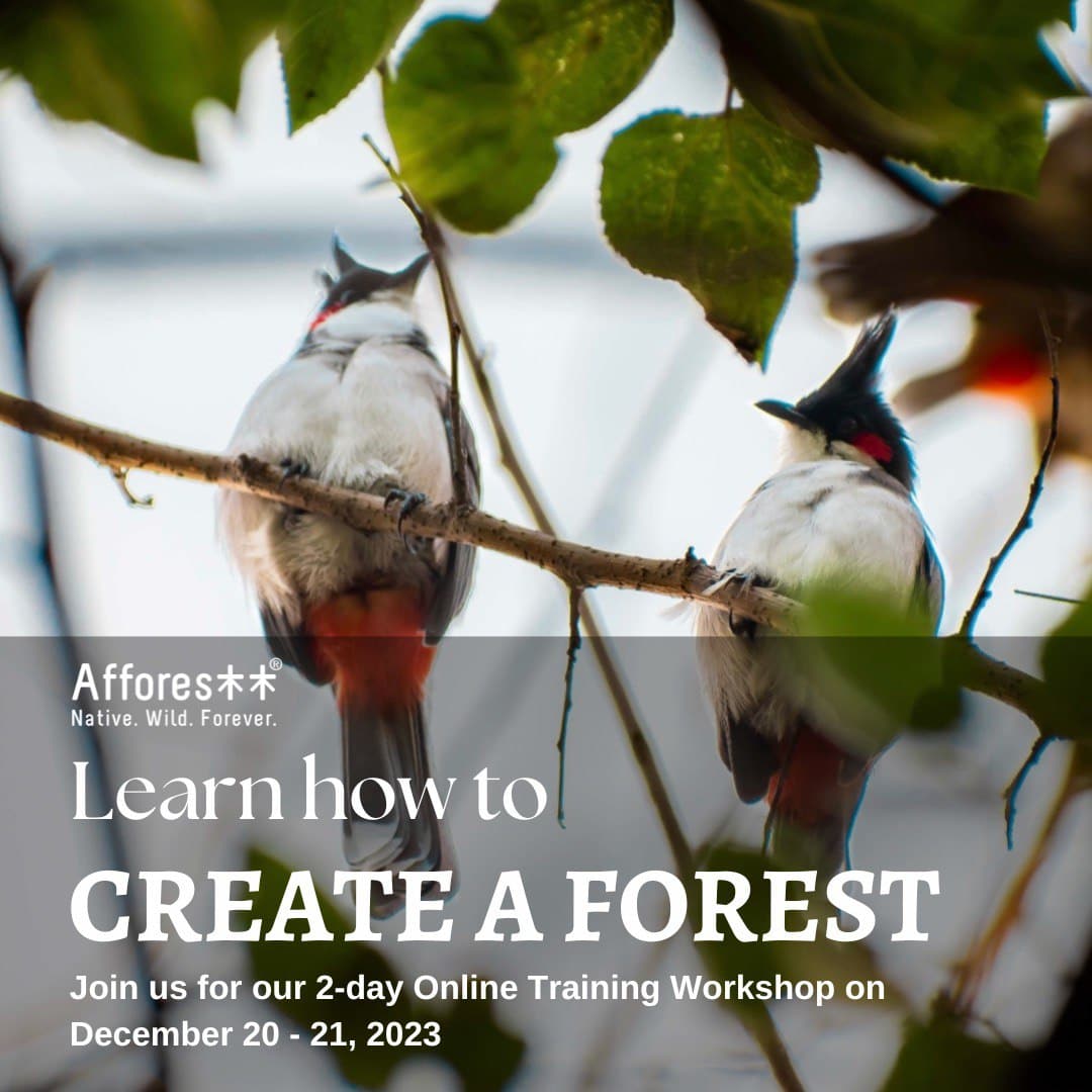 Join us for our 2-day Online Training workshop on 20th- 21st December,2023 (6 PM to 10 PM, IST) With a focus on adapting the Miyawaki methodology of afforestation. Fee:- INR 35,000/USD 500 Do write to us with the statement of intent on training@afforestt.com. #onlinetraining