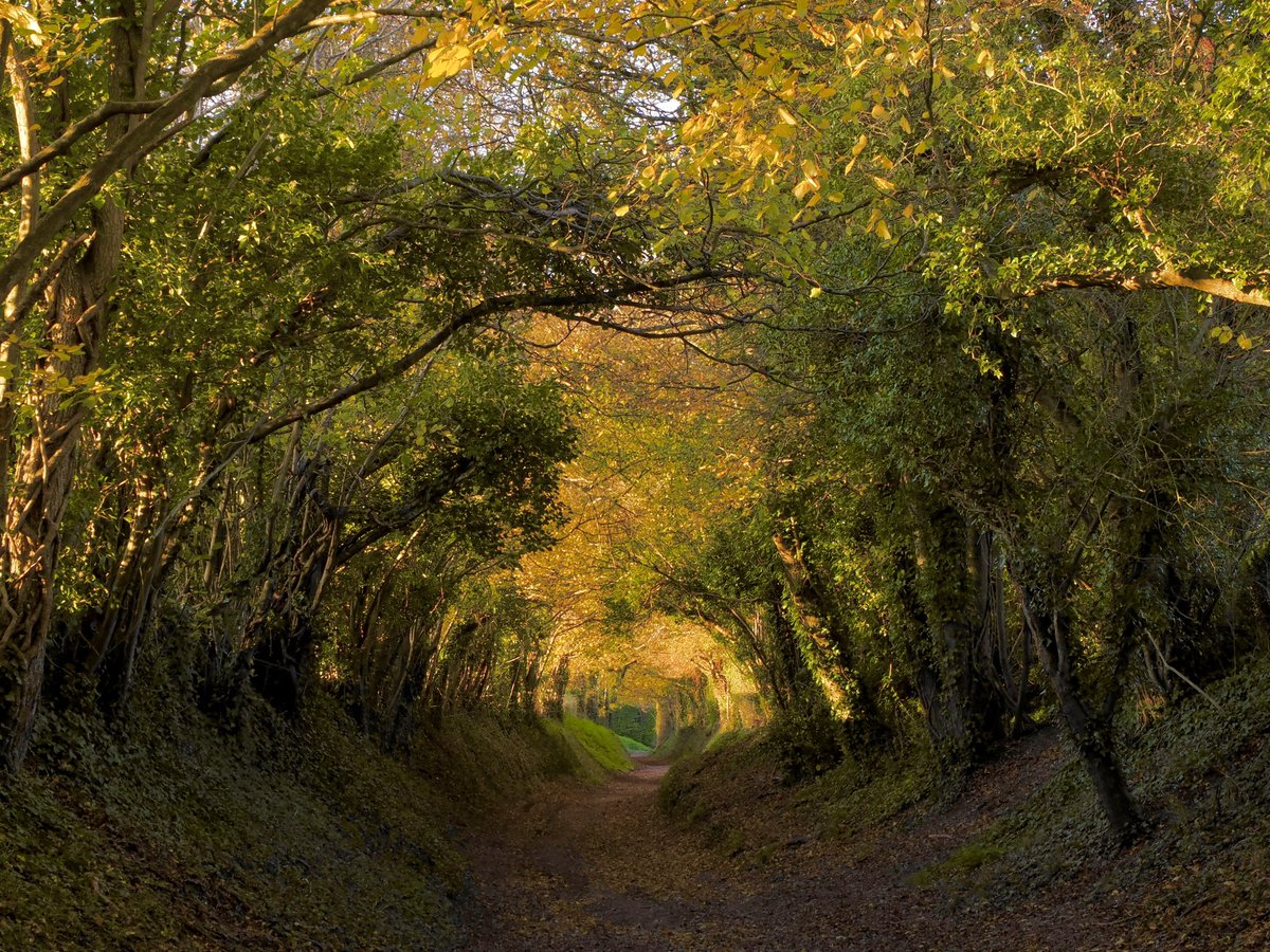 Sue Robinson tweet media