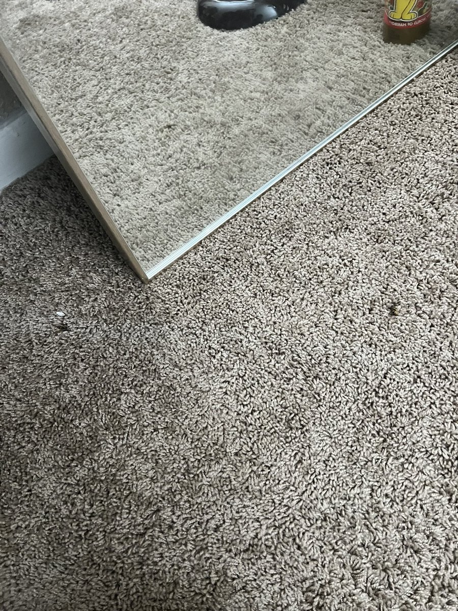 Tiffany _ LMA_Littles tweet media