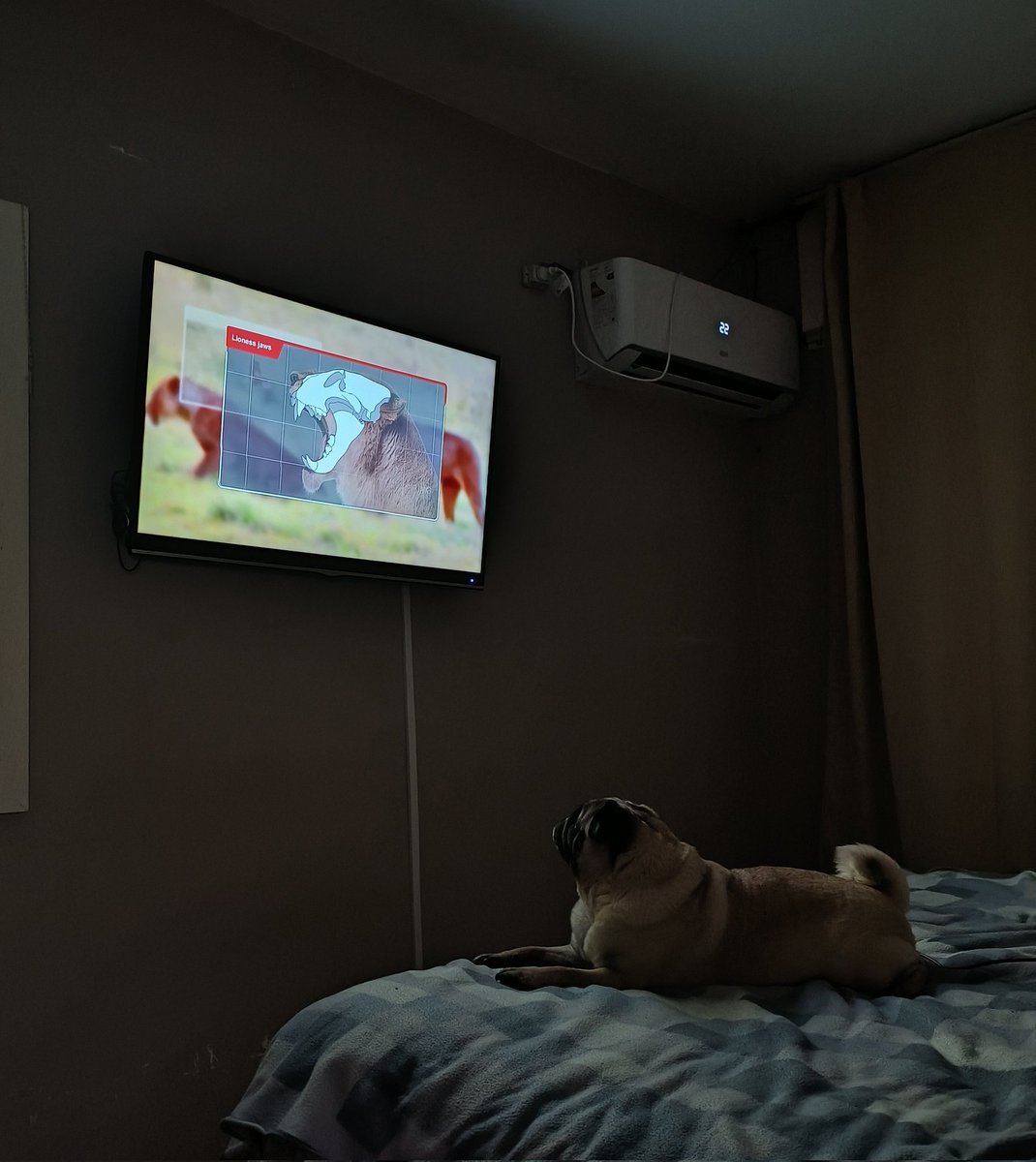 La mora mirando su novela jaja