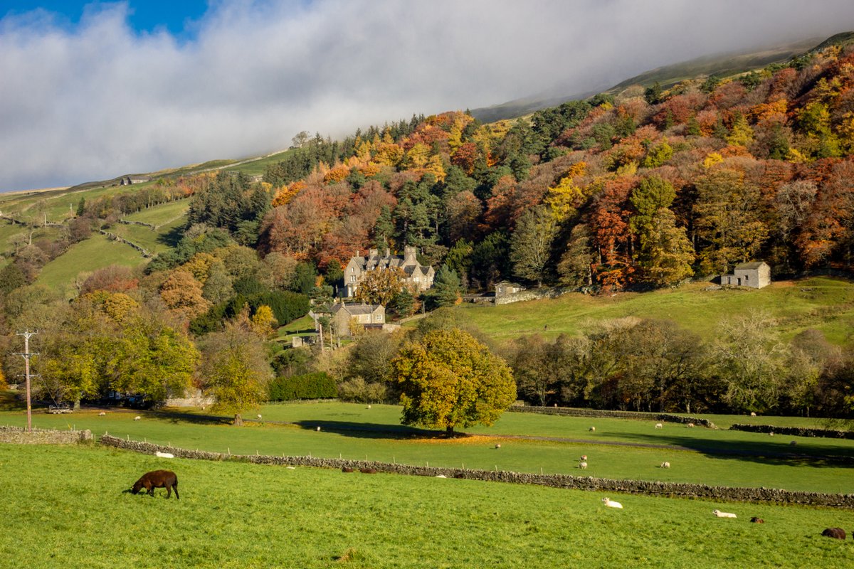 This is #Arkengarthdale 🧡 It is a sparsely populated, winding valley with a wonderful wild feel.

The narrow road slowly climbs through the Dale, eventually reaching England's highest pub, @tanhillinn. Who's been here? 

📸 Wendy McDonnell

#PicOfTheDay #YorkshireDales #Sunday