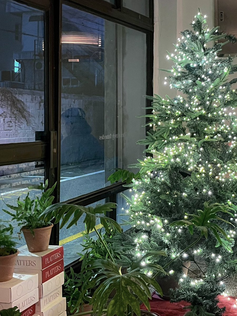 Greeen0k's tweet photo. 한국에서 크리스마스 분위기 넘 좋다🎄 https://t.co/1nuEl6Kepy