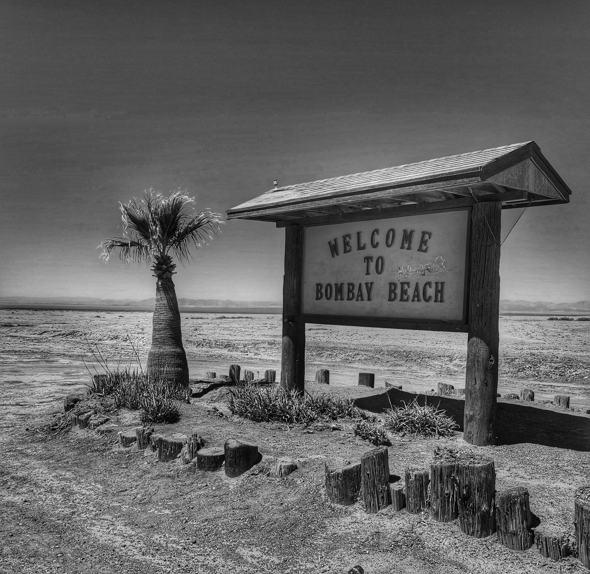 Weird and wacky art installations around Salton Sea

#photography #blackandwhitephotography #travel #nature #naturephotography #usa #nationalparks #roadtrip #saltonsea #California