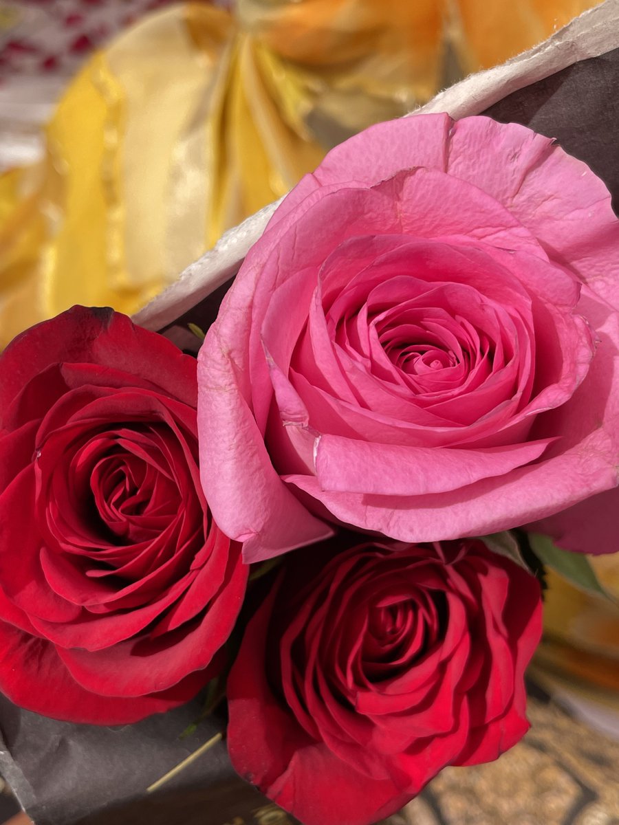 AfifaBano3's tweet photo. Drop a beautiful flower pic from your gallery https://t.co/SviuVP6Y7q