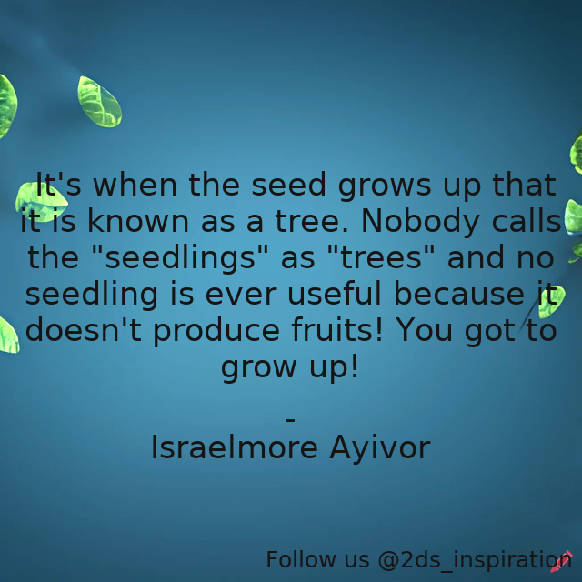 Author - Israelmore Ayivor

#193539 #quote #bearfruits #doit #foodforthought #forest #fruits #growup #herbs #israelmoreayivor #legacy #plantaseed #produce #seed #seedling #seedlings #seeds #seedsforsuccess #seedsofgreatness #shrubs #sowaseed #trees #youcandoit