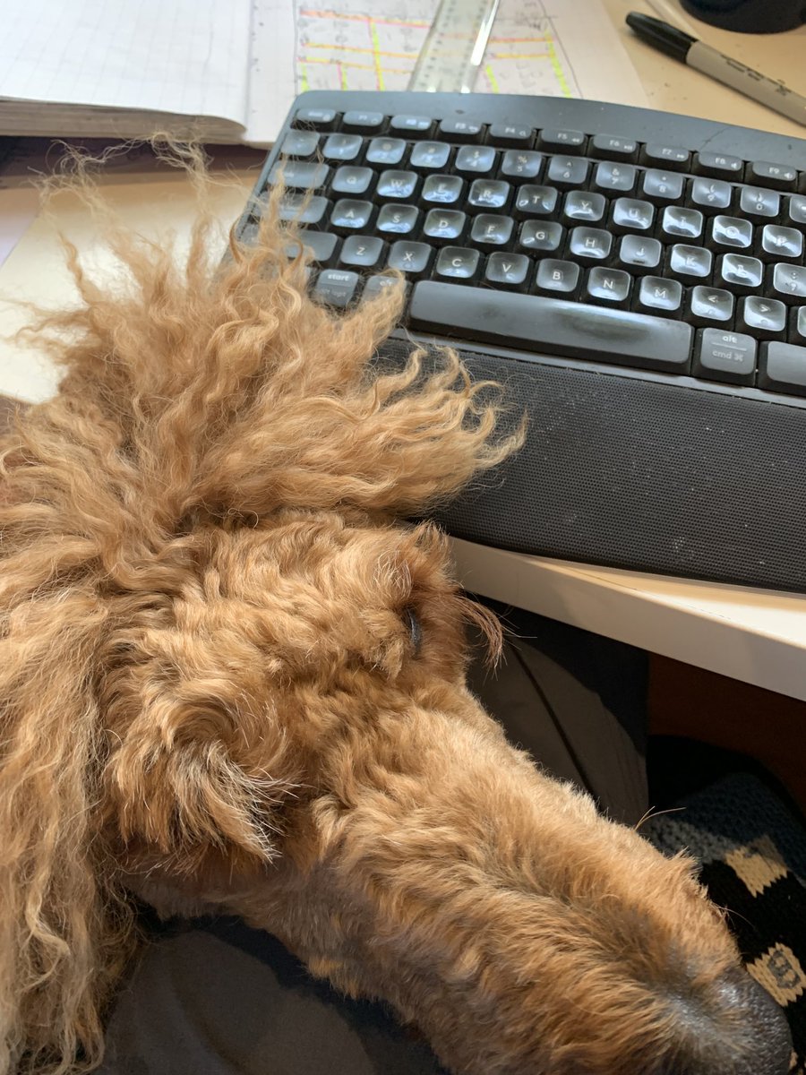 David Astle tweet media