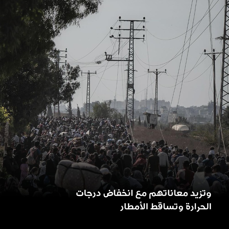qcharity's tweet photo. أصبحت الحياة أكثر تحديًا على أكثر من 1.7 مليون نازح في فلسطين.

وهم مقبلون على فصل شتاء بارد الذي زاد من حاجتهم للإغاثة والدعم ��ارت أكثر من أي وقت مضى.

لنكن لهم ��الجسد الواحد في هذا الشتاء