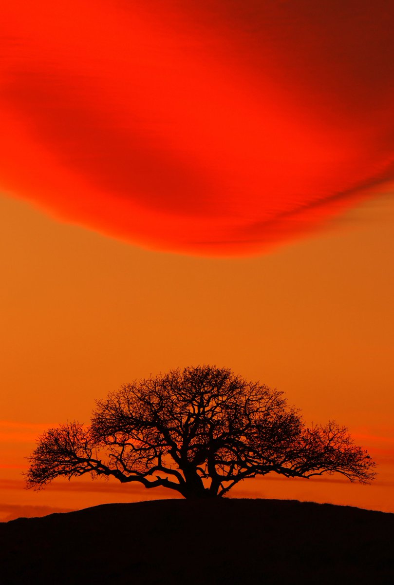Abbas_rahmani63's tweet photo. "Sunset"
7/15 Edition 
5 Tezos
#photography 
Link:
https://t.co/cHx6b8lOtB https://t.co/nb8hTJ7tfF