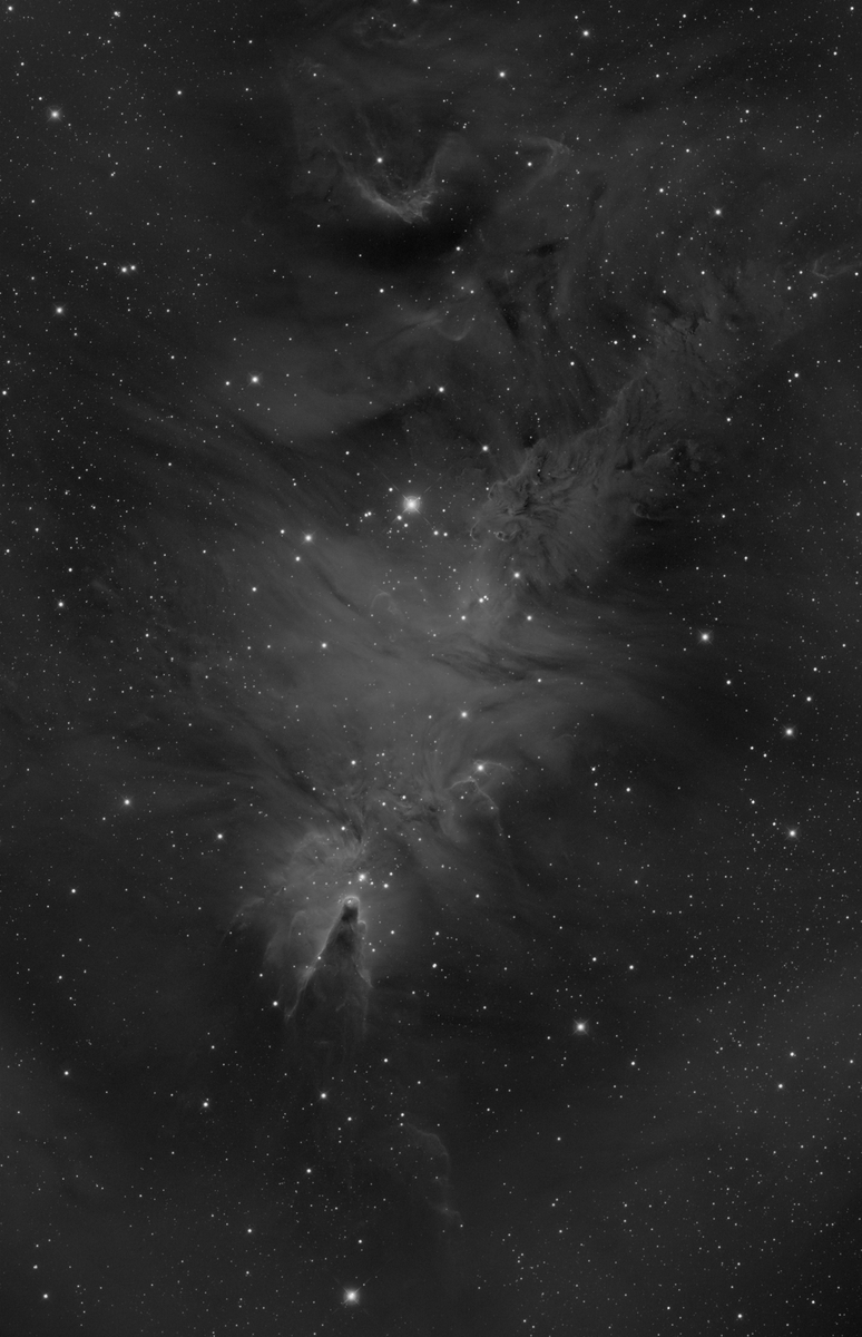 clavius's tweet photo. Haで見たCone Nebula付近.
Fox Fur NebulaやCone Nebula、そしてその間にある刷毛で掃いたような部分など見どころが沢山あってこの領域は面白い.

#NGC2264 #FoxFurNebula #ConeNebula https://t.co/fKj68kaluv