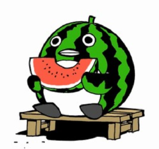 「holding food watermelon」 illustration images(Latest)