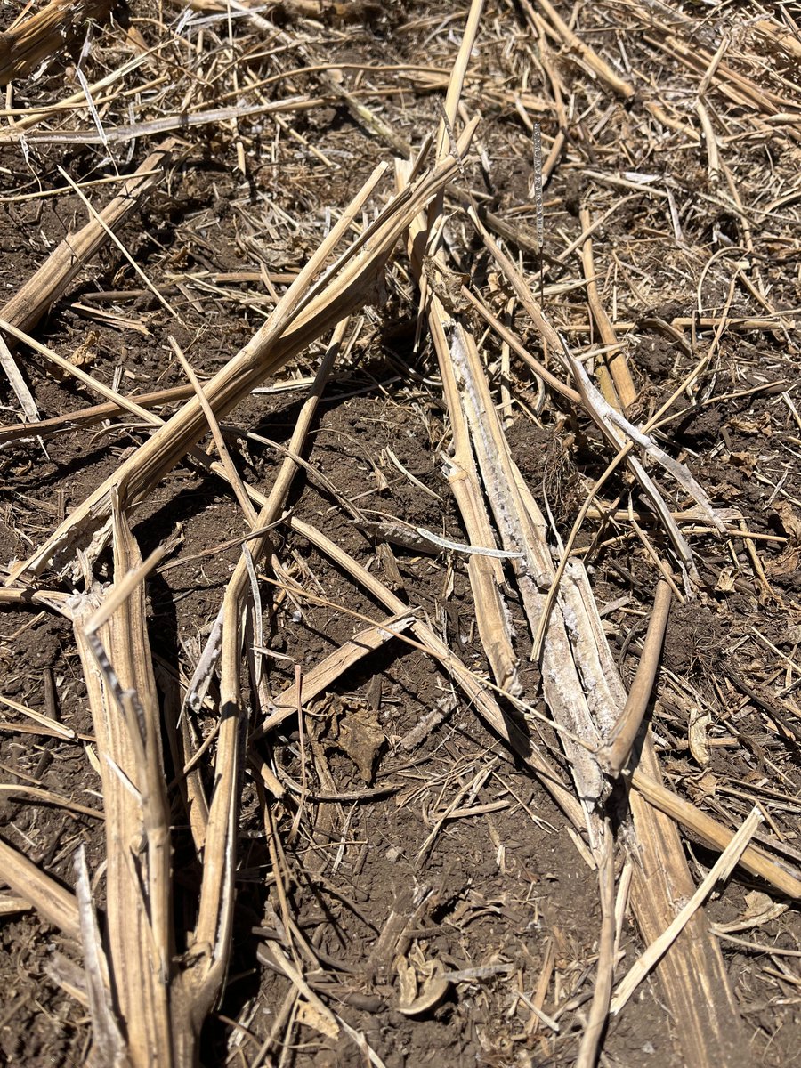 CTS Ag and Cowaramup Tractors. tweet media