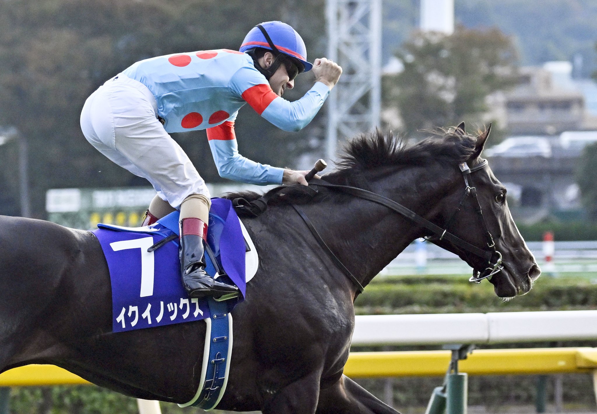 At The Races on X: 