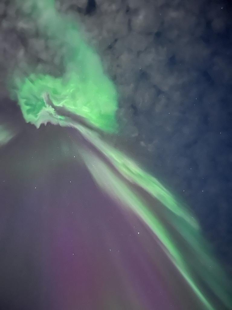 Judith Anton tweet media