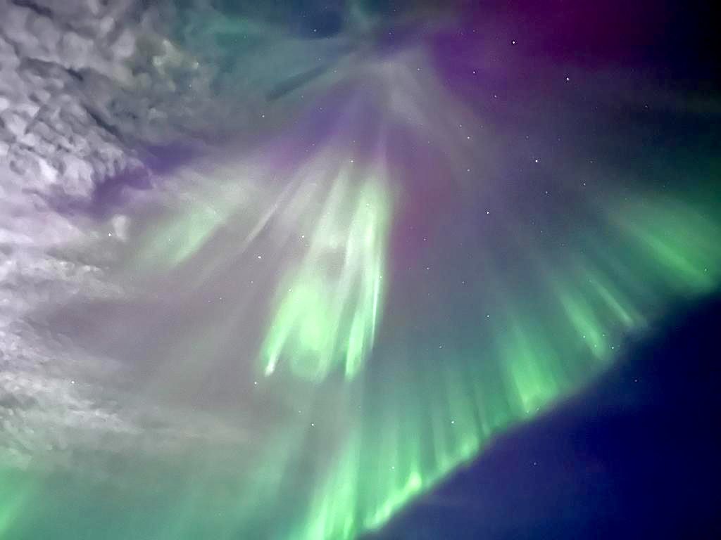 Judith Anton tweet media