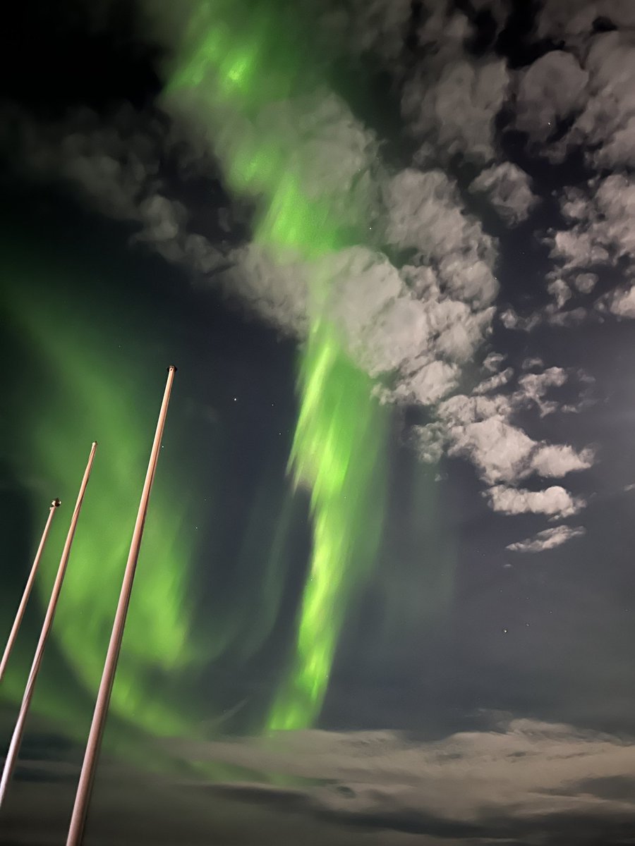 Judith Anton tweet media