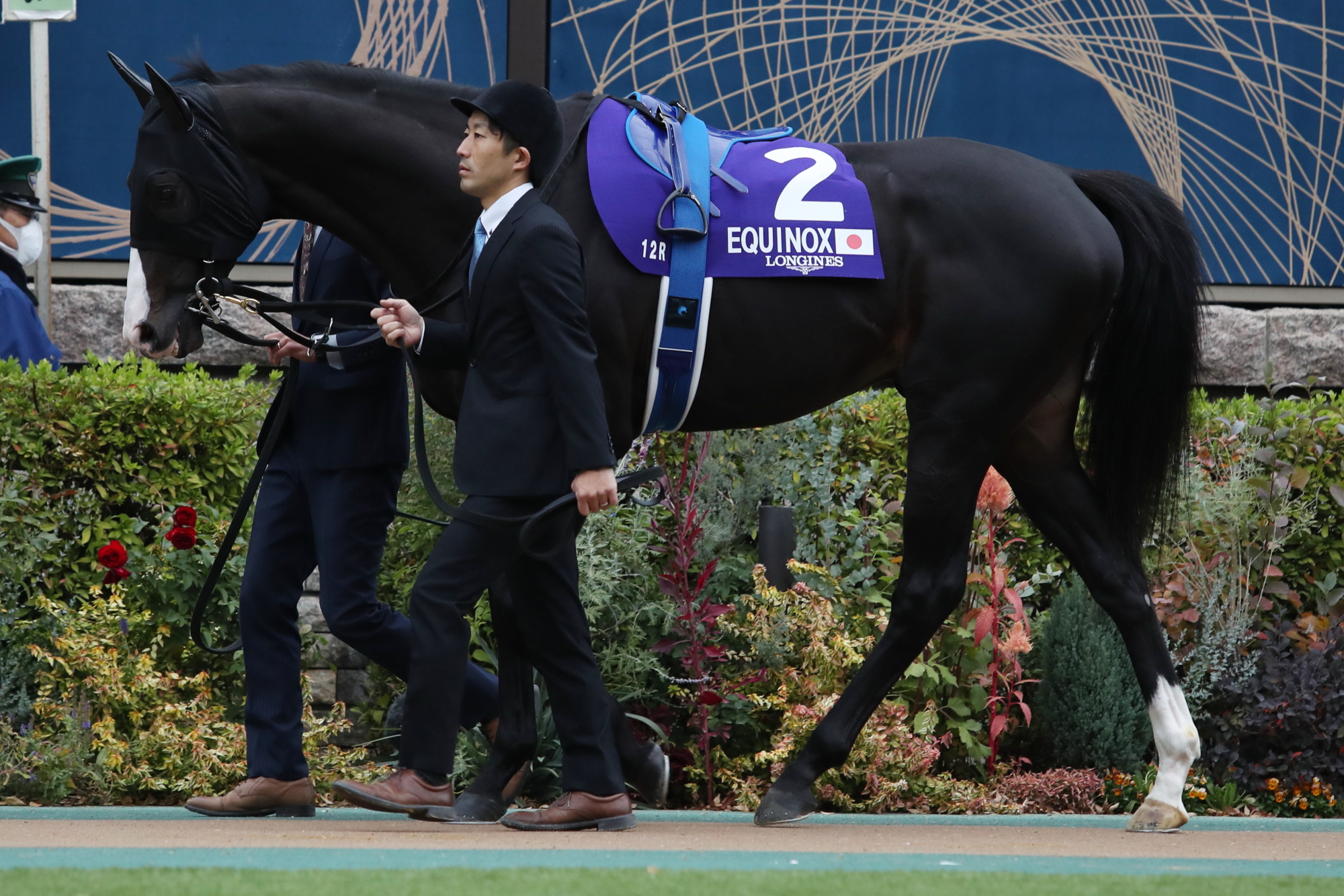 JRA-VAN公式 on X: JRA-VAN公式 on X: