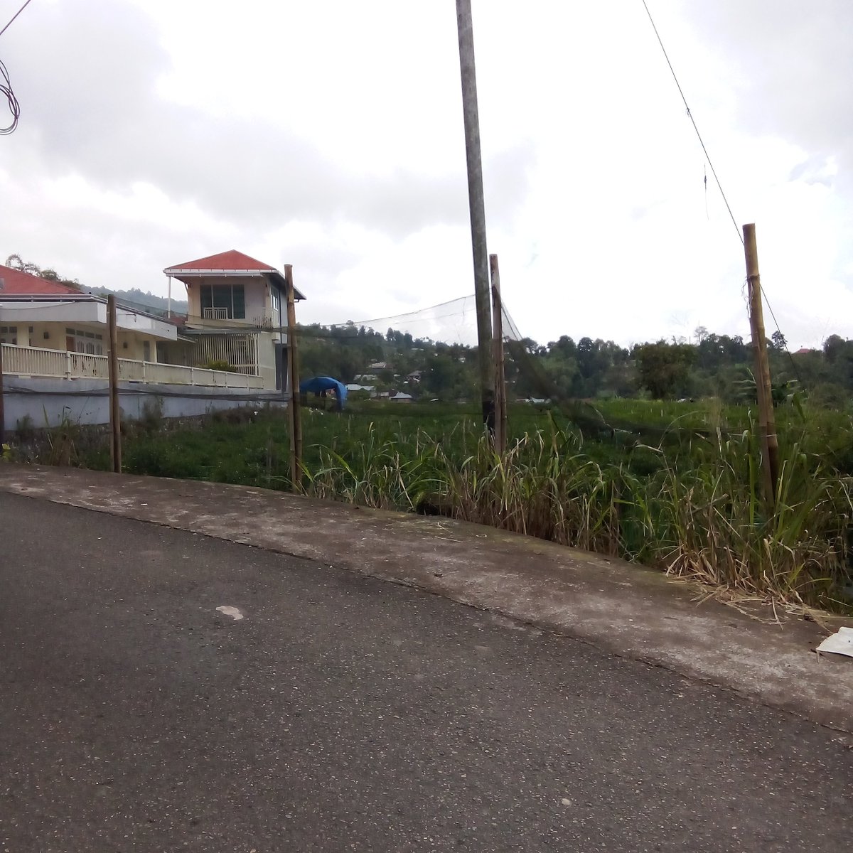 ami²⁵ tweet media