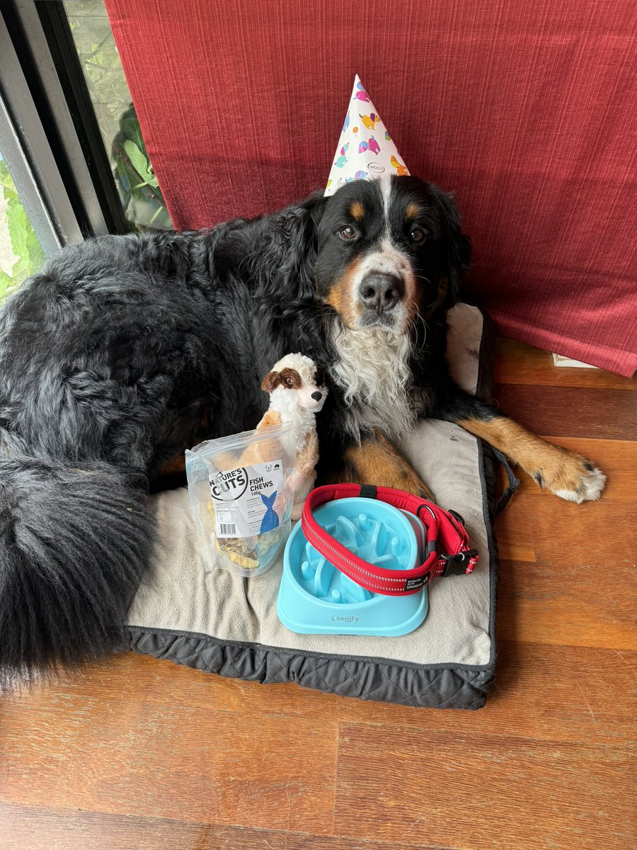 rebeccahritchie's tweet photo. This birthday boy is looking for cuddles #ThisIsFive 🎂🎉 https://t.co/Koxg1bs6vK
