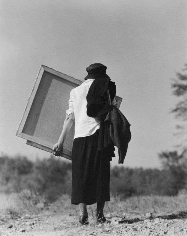 literlandweb1's tweet photo. "El miedo a envejecer nace del reconocimiento de que uno no está viviendo la vida que desea. Es la sensación de estar usando mal el presente".
Susan Sontag
📷Alfred Stieglitz https://t.co/IXoB6GoHZv
