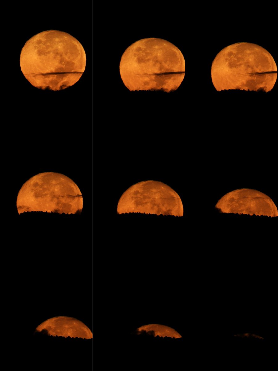 4iluj's tweet photo. Puesta de la luna llena del castor 🦫 26 de noviembre de 2023 https://t.co/q0mr0x3hc4