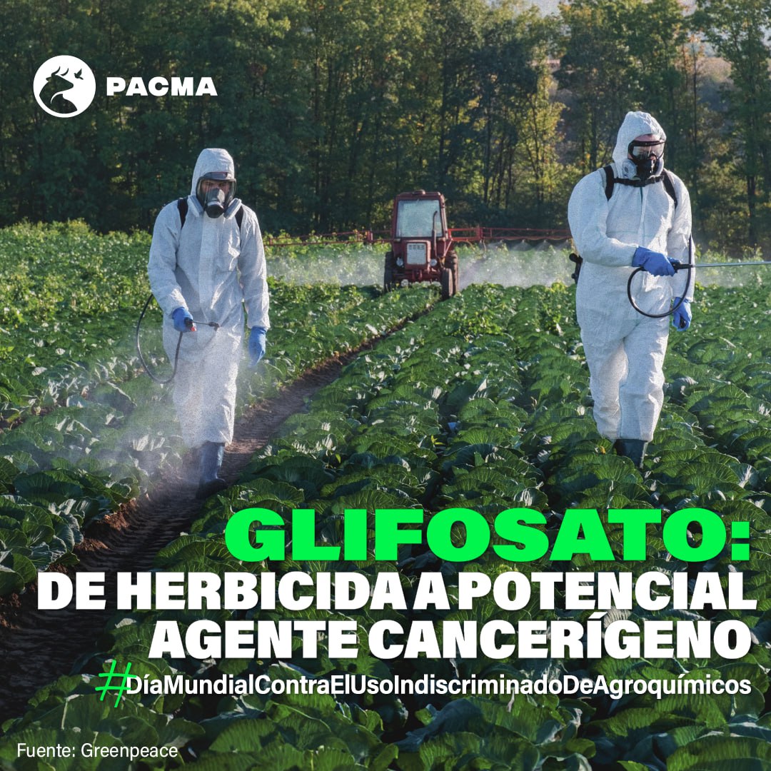 PACMA Madrid tweet media