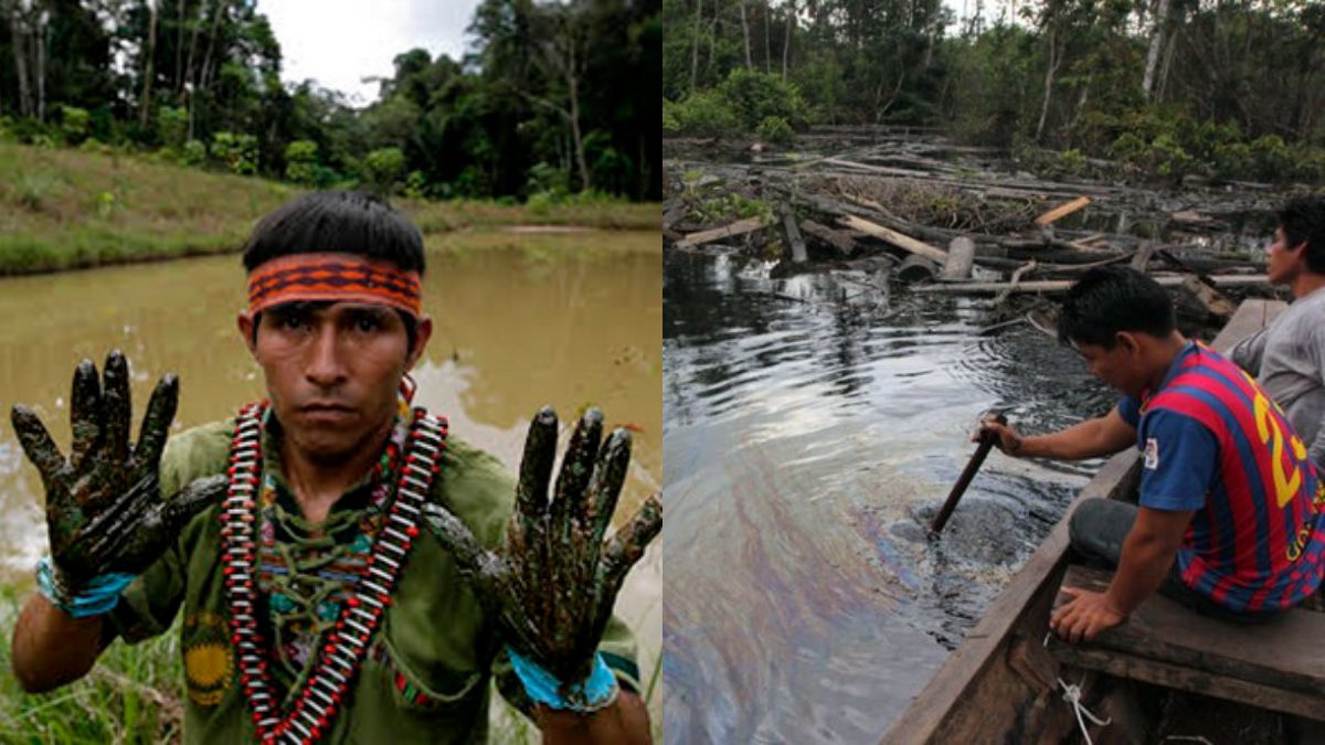 Ros_Rodriguez_'s tweet image. The Amazon is not dying. It is being killed. This rainforest for 6,000 years: it is the greatest manifestation of life anywhere on the planet.

But oil companies don't see that. They drill right where the rainforest is most alive, spilling their black plague, poisoning our