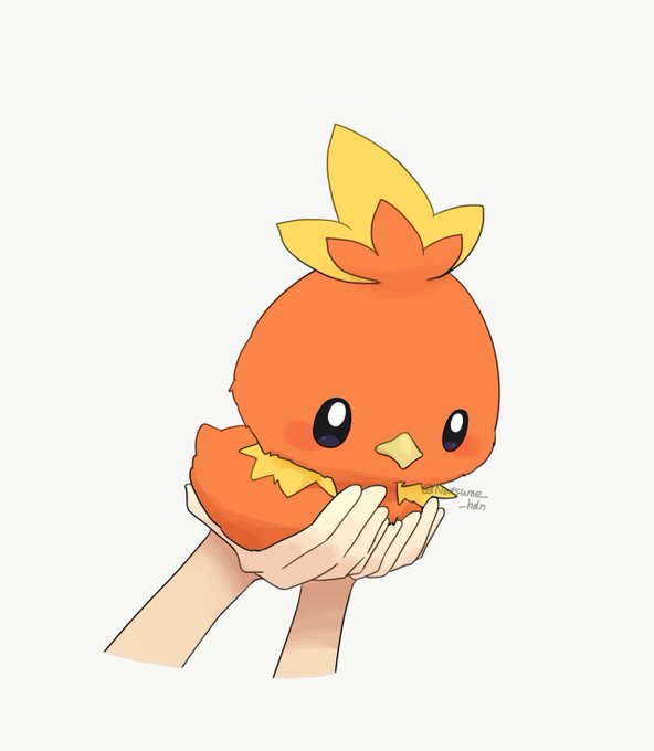 「鳥 ポケモン×ポケモン」のTwitter画像/イラスト(新着)｜21ページ目