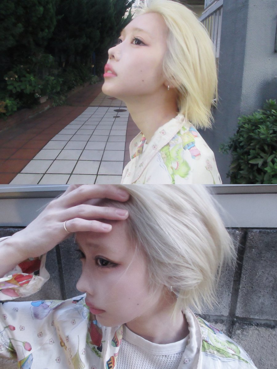 aNo2mass's tweet photo. にゃは https://t.co/qXiX1WOU9T