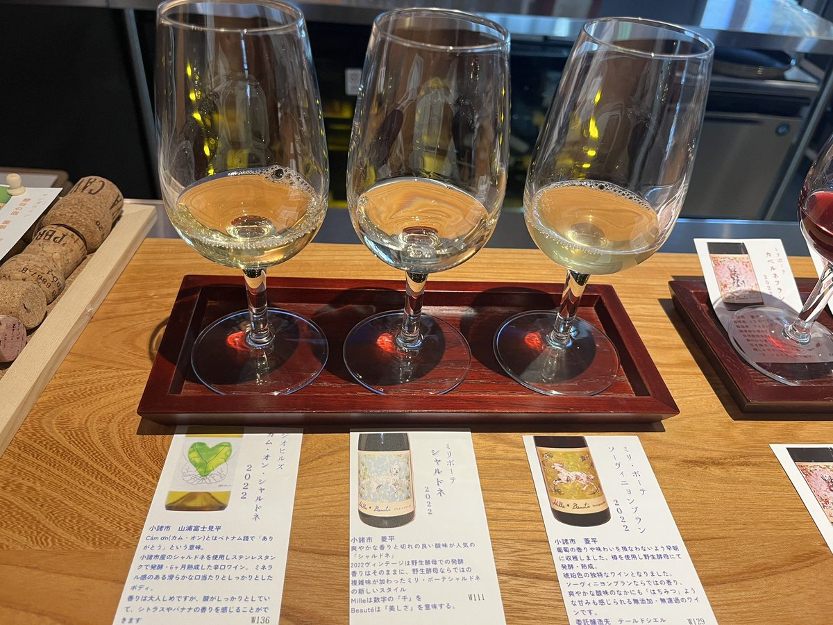 OL40871758's tweet photo. 小諸駅にできたワインバーへ🍷
駅構内からでも外からでも入れます🙌
6種飲み比べ🥰
今回は軽井沢からしなの鉄道に乗って、小諸駅まで行ってみました🚃レトロな感じの電車で可愛らしいです❣️ https://t.co/CHJukcp4iW